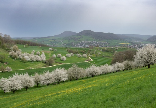 Natur & Landschaft